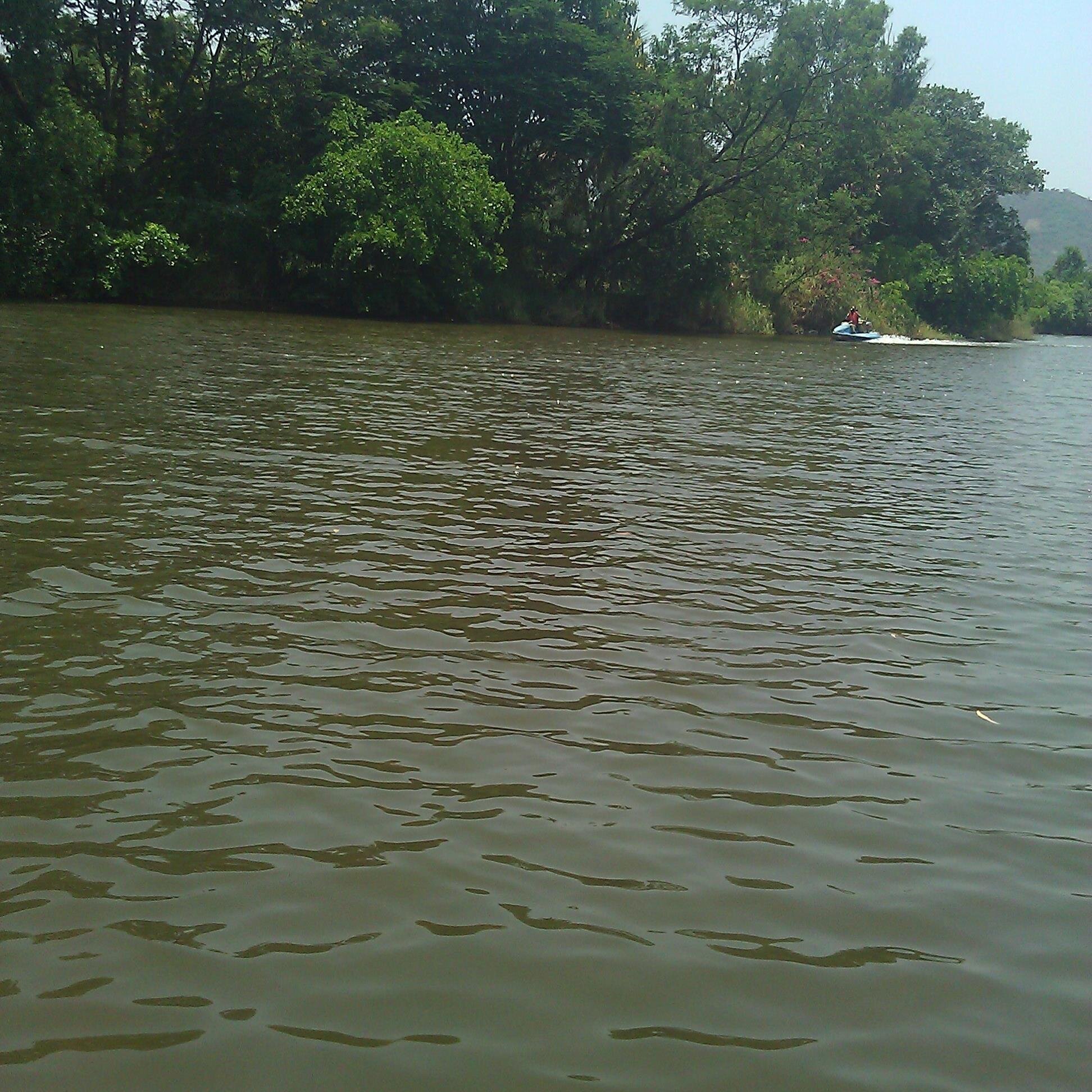 seshadri