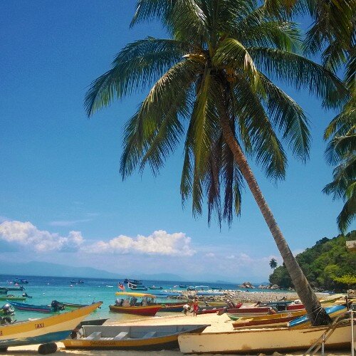 3zivis's profile picture. 