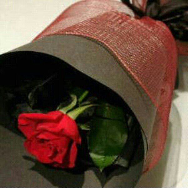 ‏(مؤلمه هي نميمة الاصدقاء وموت الامهات وخيانة العشاق ) استغفر الله العظيم