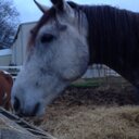 joyce - @JoyceSandlin151 - Twitter