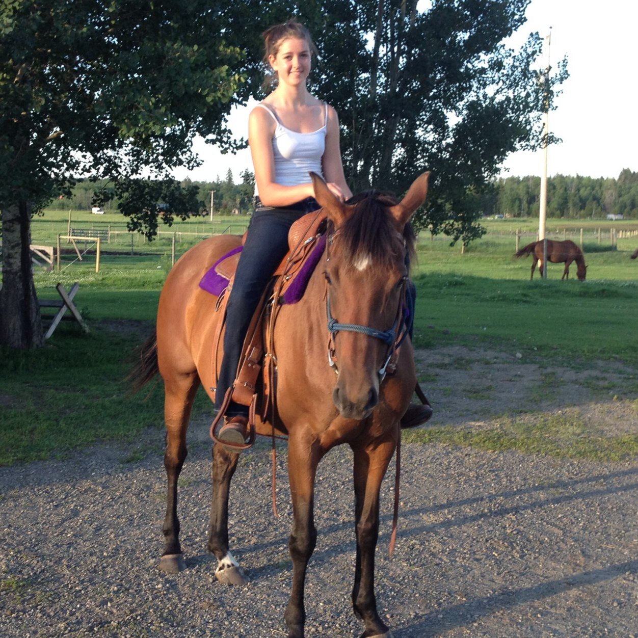 Steer Riding, Rugby, and Horses.
