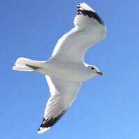 Kristina R Iden (@kristinaiden) 's Twitter Profile Photo Kristina R Iden (@kristinaiden) 's Twitter Profile Photo