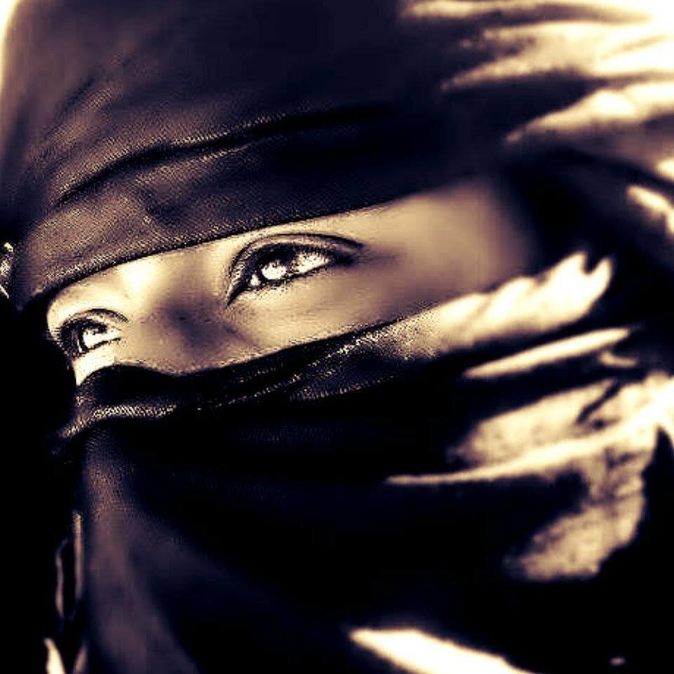 Bienvenue dans le désert de l'Algérie