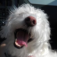 Matt Delawder (@mdelawder72) Twitter profile photo
