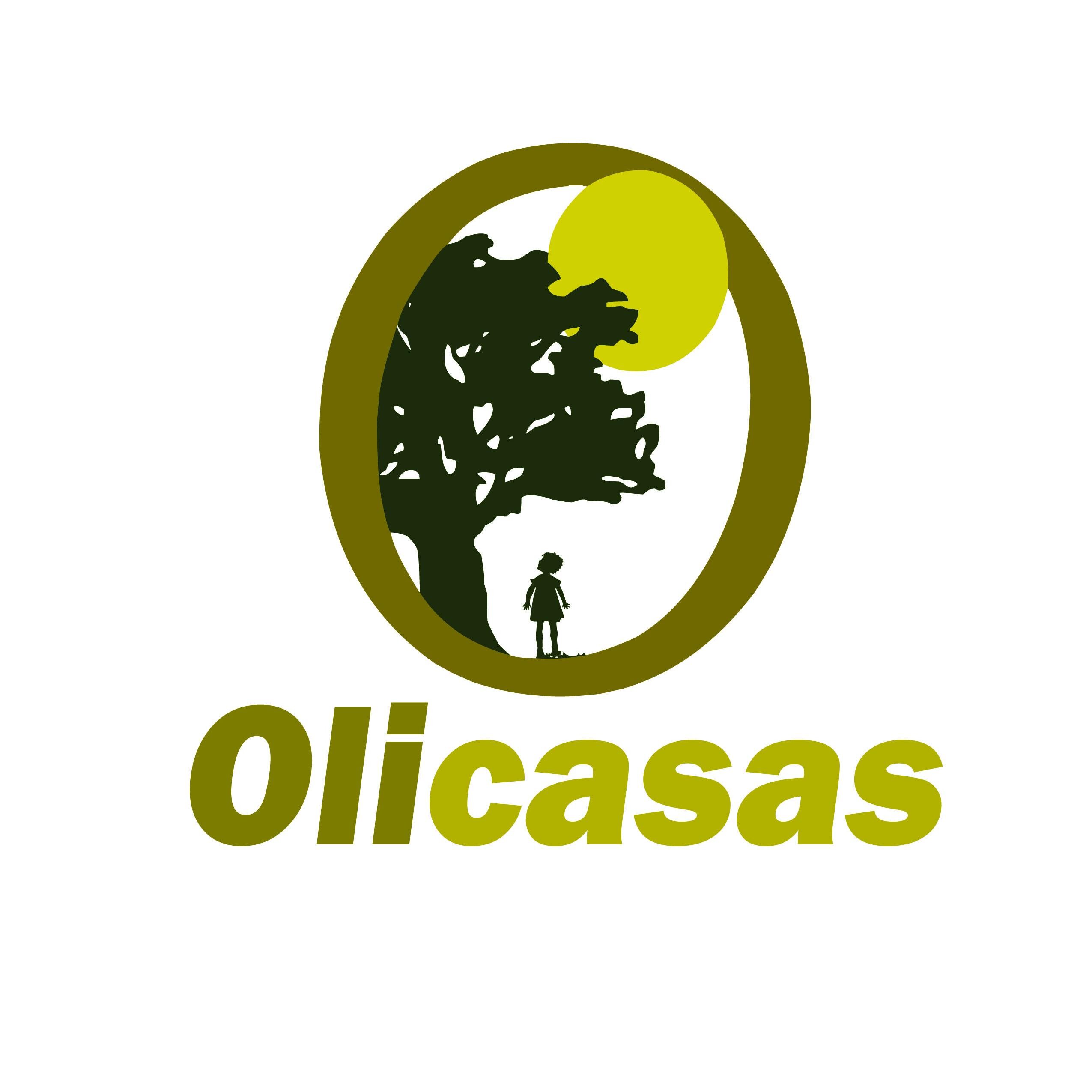 Olicasas surge como una empresa dedicada al desarrollo inmobiliario y construcción de vivienda, actualmente ofrece atractivas ofertas inmobiliarias en S. L. P.
