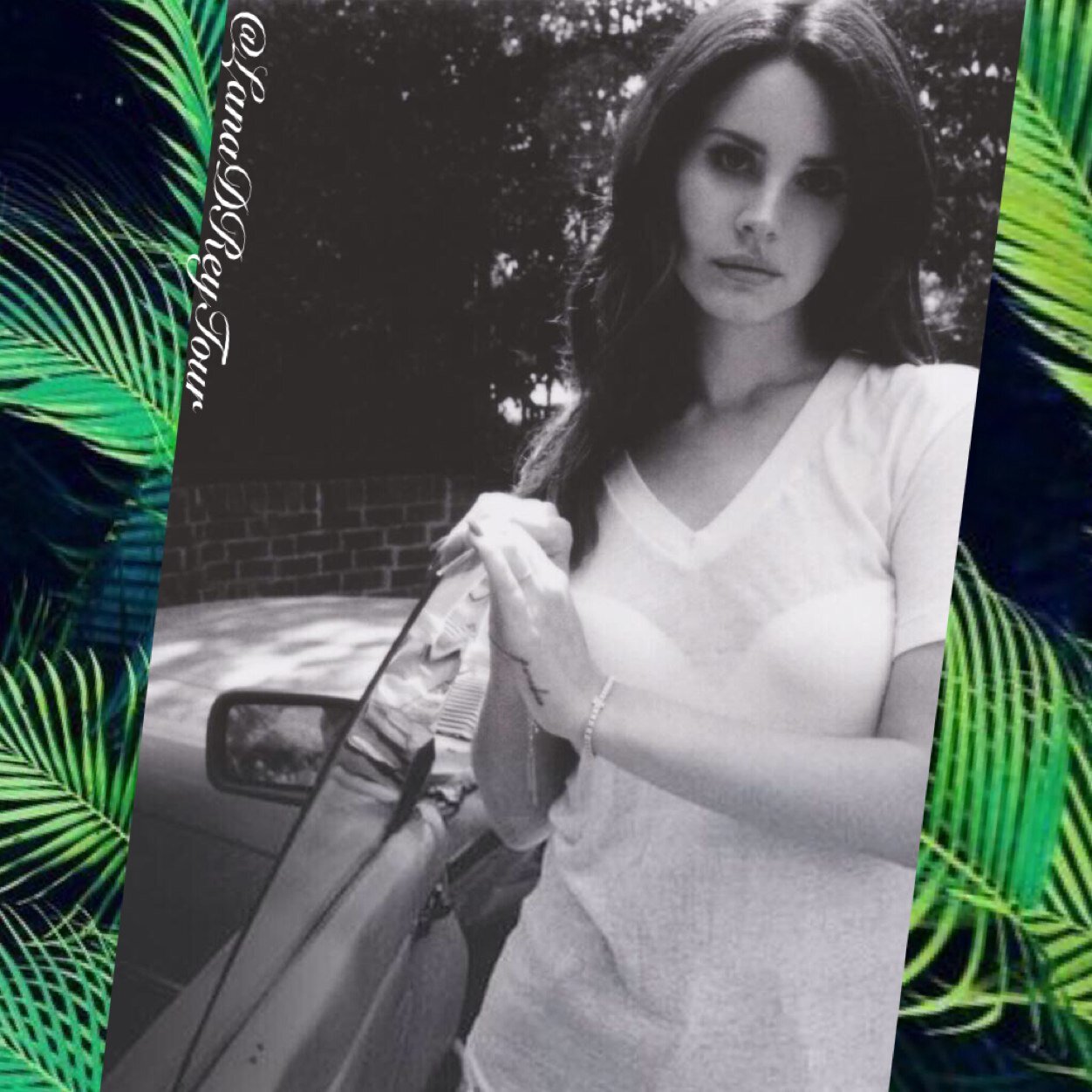 Full time Lana Del Rey activist // Bringing you updates about Lana, her music and of course her tour!