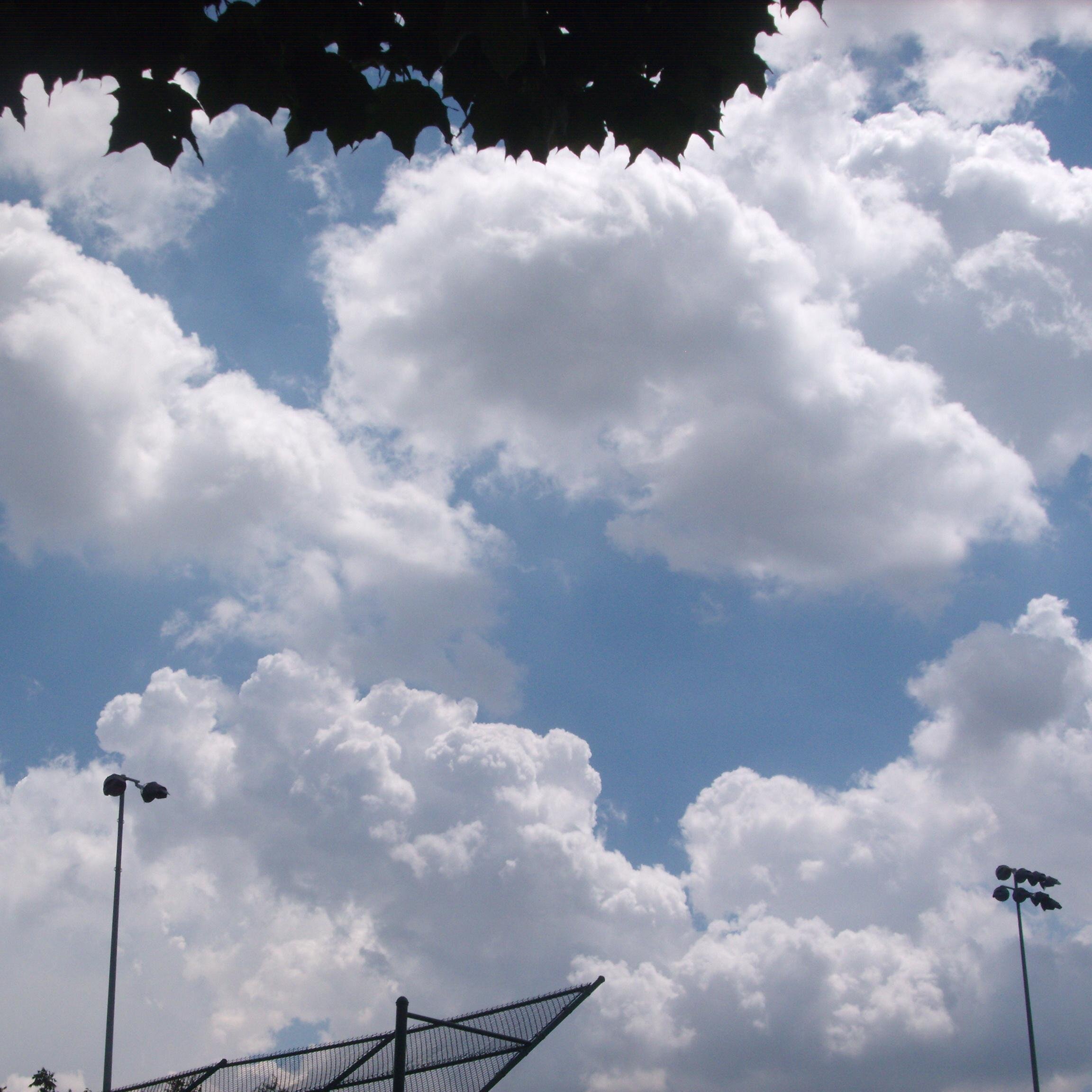 queenmama247's profile picture. 