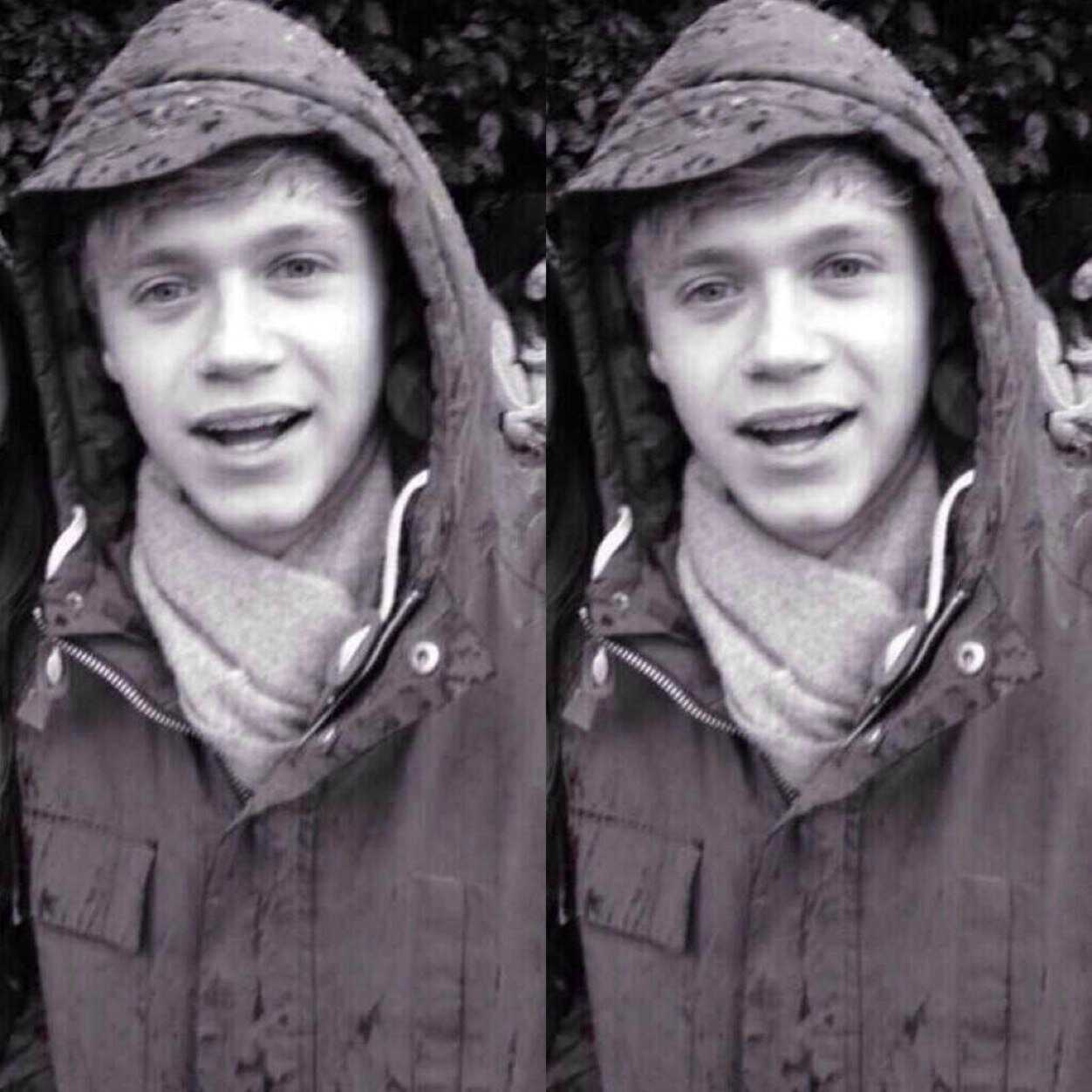 Hi. Please go follow @narryinsist , she folllows back. ily