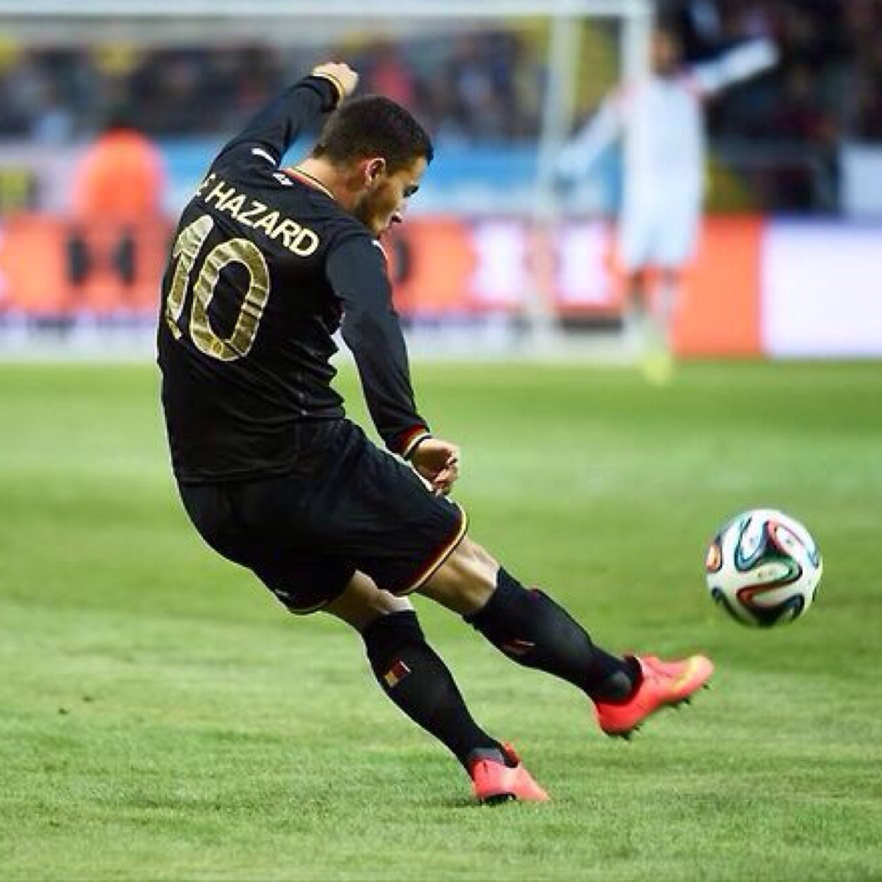 Team10Hazard's profile picture. HAZARD FANS!