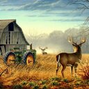 john kiser - @ffkiser - Twitter