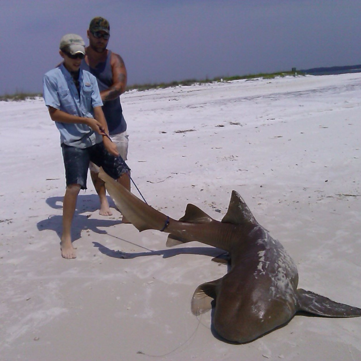 Kotyfootball14's profile picture. 