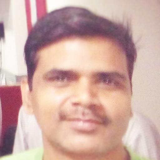 SEO Professional