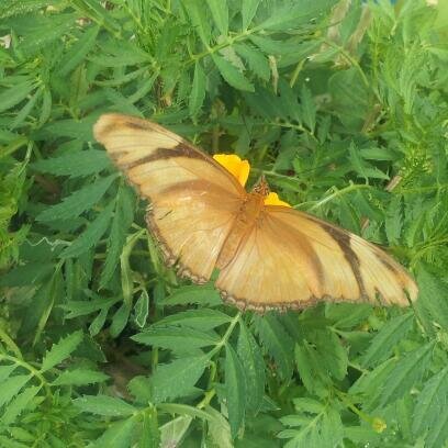 KateK321325's profile picture. 