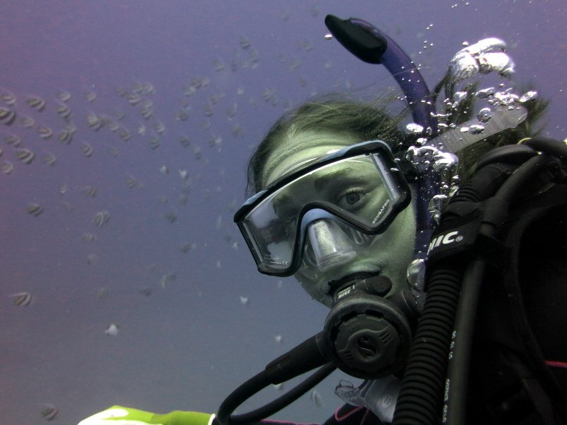 Associate Prof at UH Mānoa , Marine Ecologist, NOAA Foster Scholar Alum, #rstats nerd. Study climate change + eco functioning @silbigerlab she/her