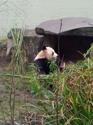 Bright84Eyes's profile picture. 