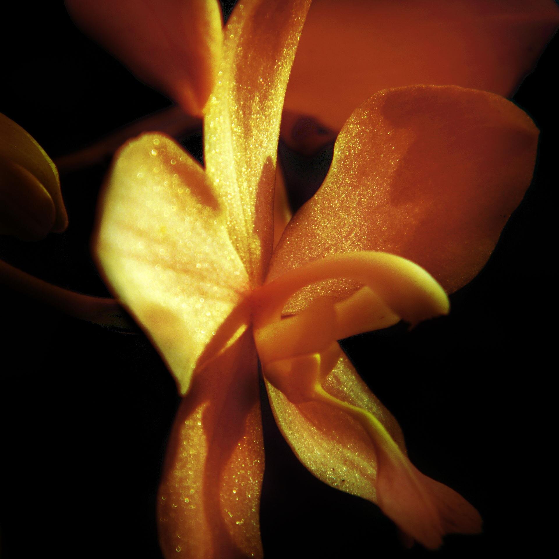 JAILALVL's profile picture. 