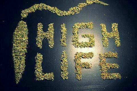 19MHacker89's profile picture. 