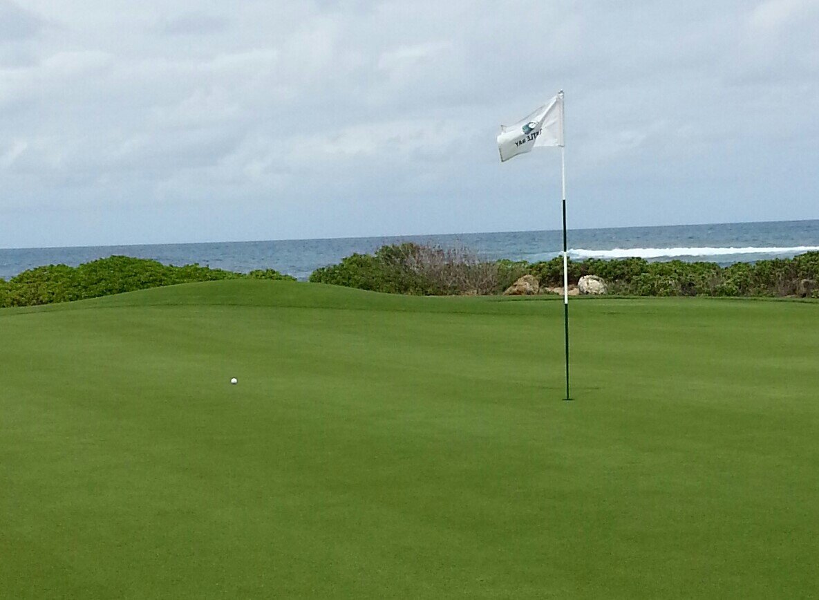 PinaulaGolfPGA's profile picture. 