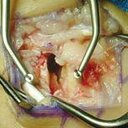 gilbert coronado - @gilbert_rc2 - Twitter