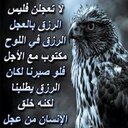 علي داود (@6512c2540fc9484) Twitter