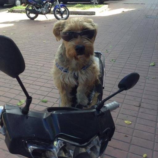 ANDO SIN RUMBO FIJO