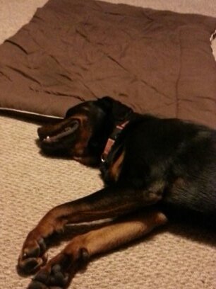 TammyFerguson68's profile picture. your really reading this #pathetic