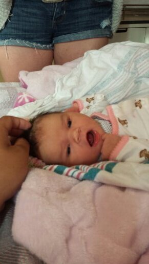 MarcoCarinci's profile picture. 49ers, Penguins, Oilers, Yankees