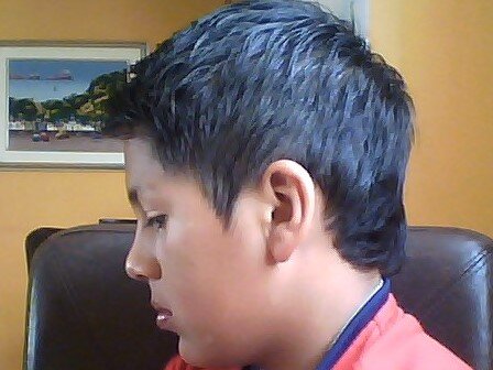 Stevr2002's profile picture. 