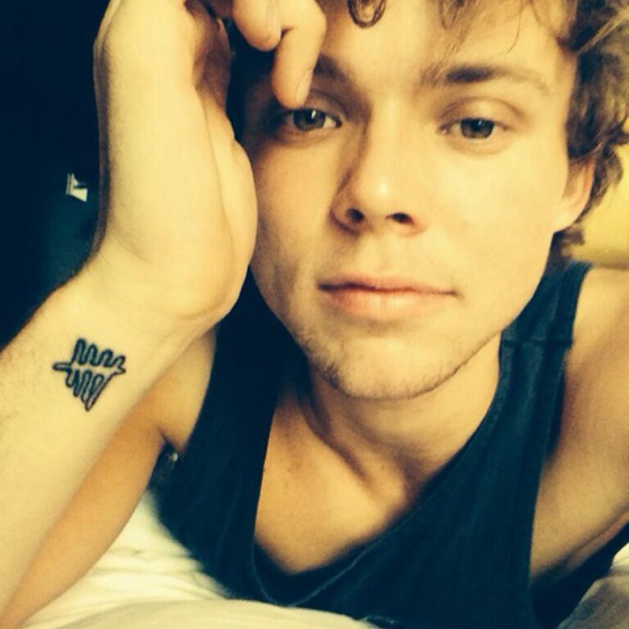 ashton will follow you soon i promise x follow @5secsofbeckyy✨