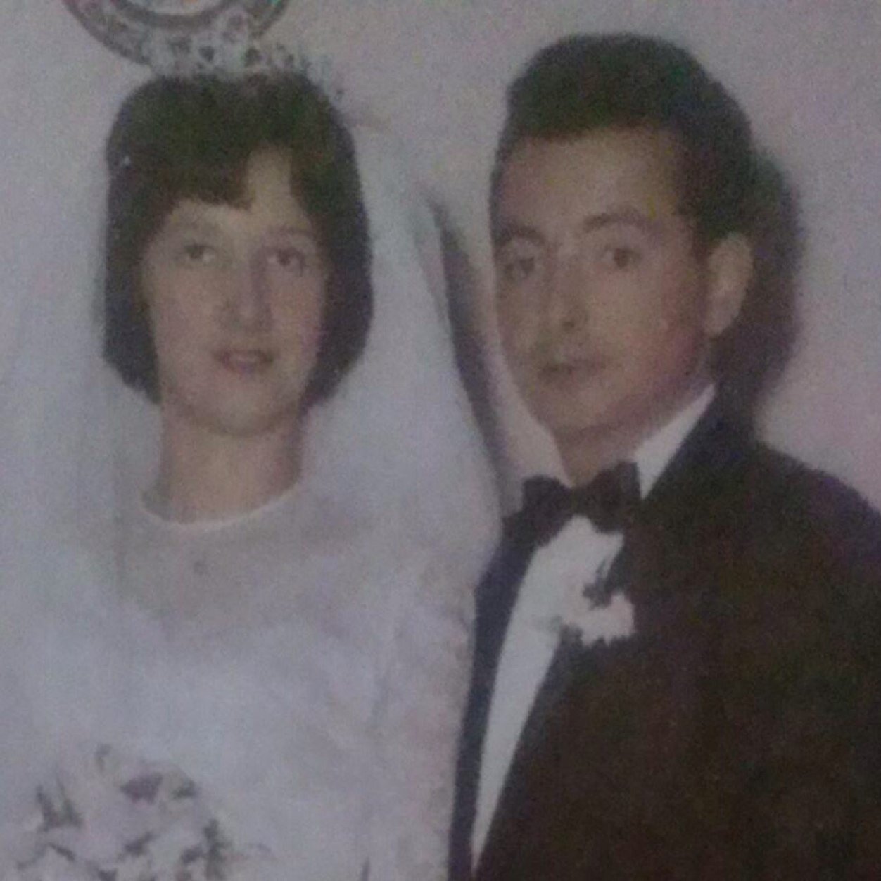 Anthony LaMonica (LaMonicaAnthony) Twitter