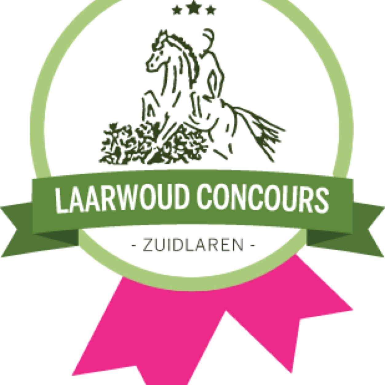 Wedstrijd voor paarden en pony's op vrijdagavond 30 juni en zaterdag 1 juli 2017. Het gezelligste concours van Noord Nederland.