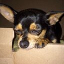 Mandy - @mandy4candy - Twitter