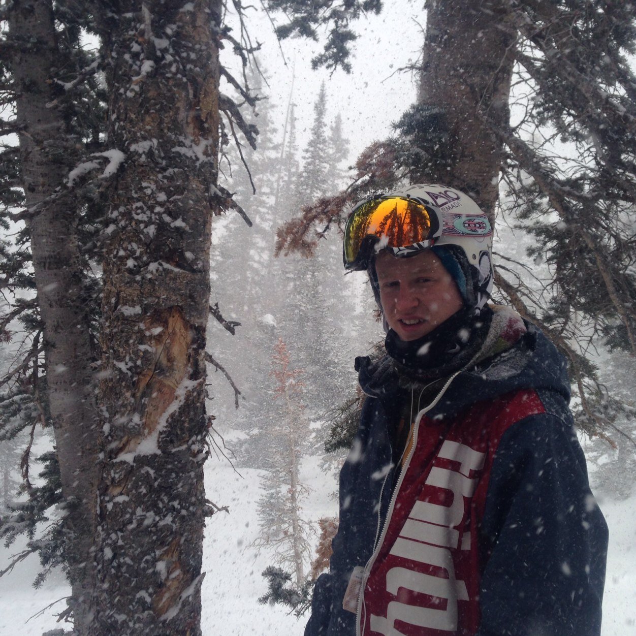 bee_MAC5's profile picture. 