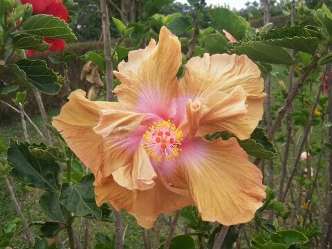 AgoncruAndrea's profile picture. 