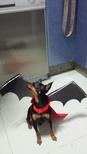 CarmenDomnguez9's profile picture. 