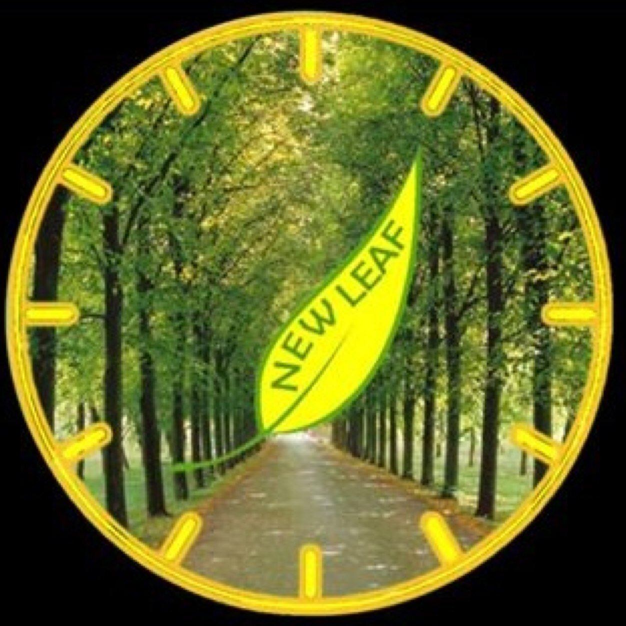 newleafcompany's profile picture. Welcome to our official twitter page! Follow us for updates on our money-saving, award-winning, eco-friendly products that make your life simpler.