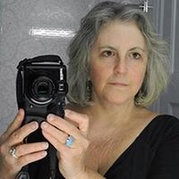 Pam Powers Hannley (@p2hannley) 's Twitter Profile