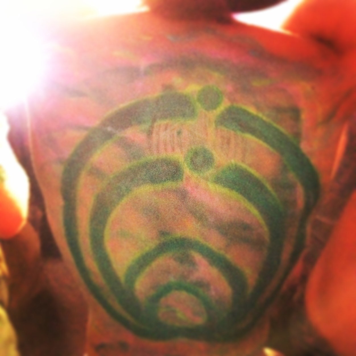 m_arce_l's profile picture. 23/Michigander/glorified line cook/Grand Rapids/freedom/lotlife/can'twaittofuckingraduate