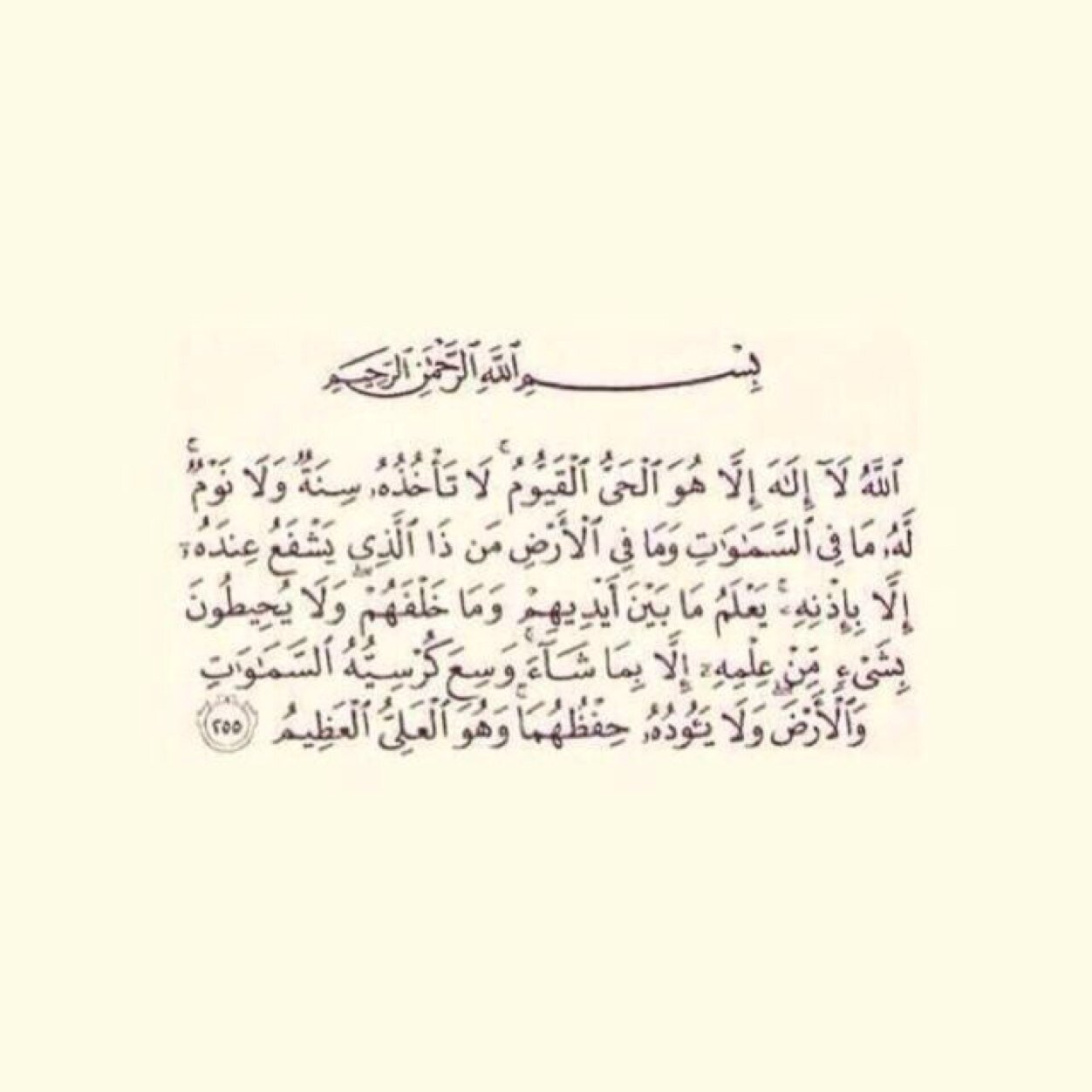 leshma5's profile picture. ليش ما تستغفر اذا مريت من هنا - استغفر الله - ❤️✋