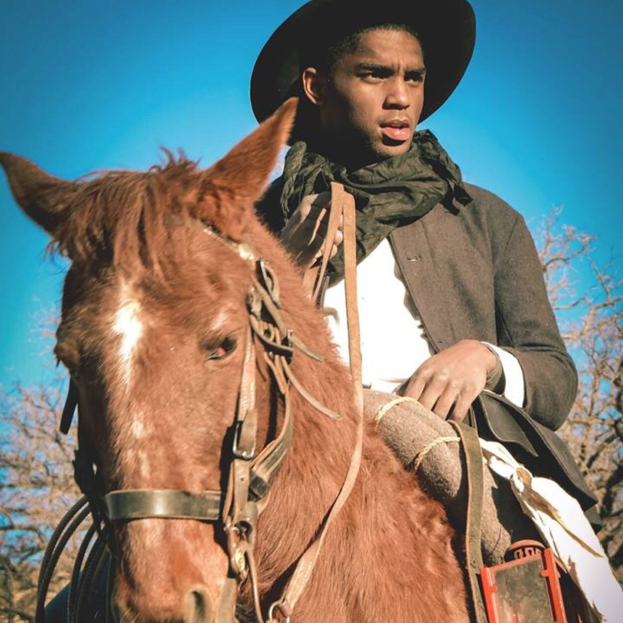 BuffaloShort's profile picture. 