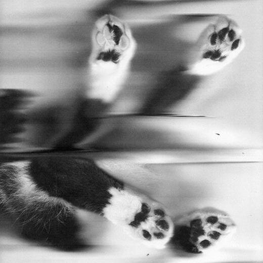 hyperreality