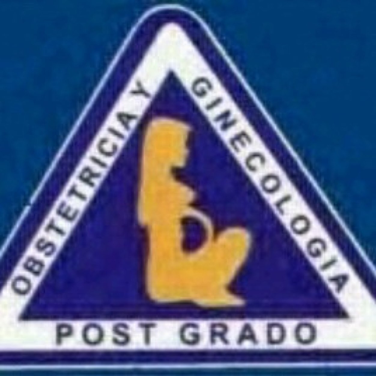 Cuenta oficial del Postgrado de obstetricia y ginecologia del hospital central de San cristobal, Tachira, Venezuela. ObstyginHCSC@gmail.com