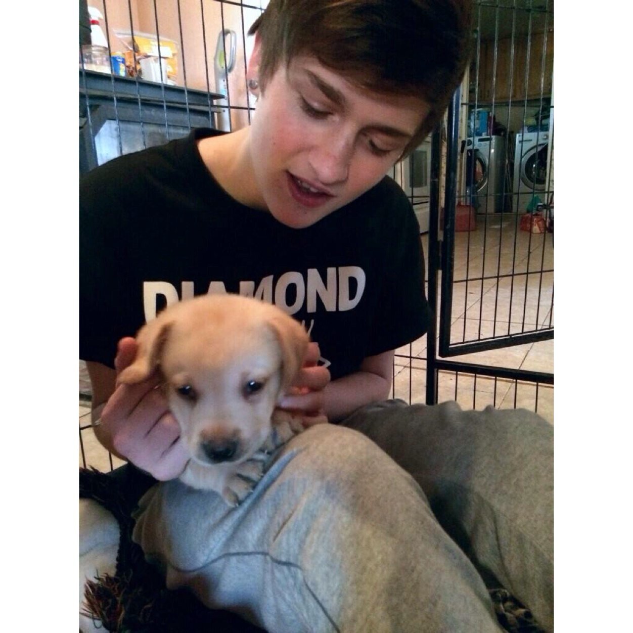 i like puppies more than i like you