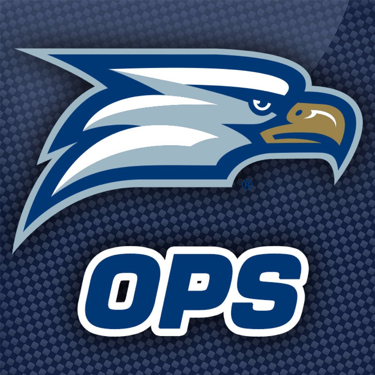 GSUGameOps's profile picture. Twitter account for Georgia Southern Athletic Operations & Facilities
