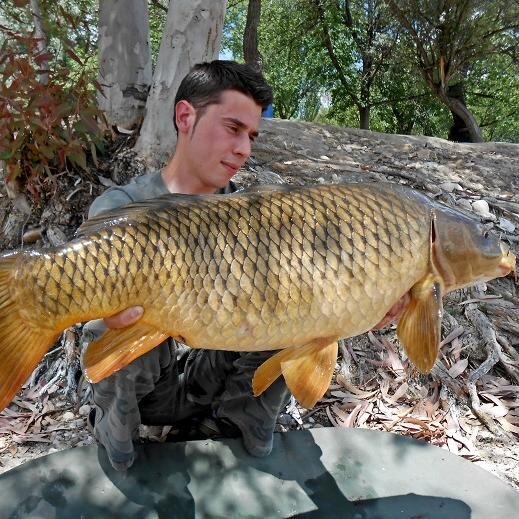 Oscar Carrasco Carp Angler. Al mando de:  http://t.co/k4saXQiWVu desde 2009. Mi ídolo soy yo.