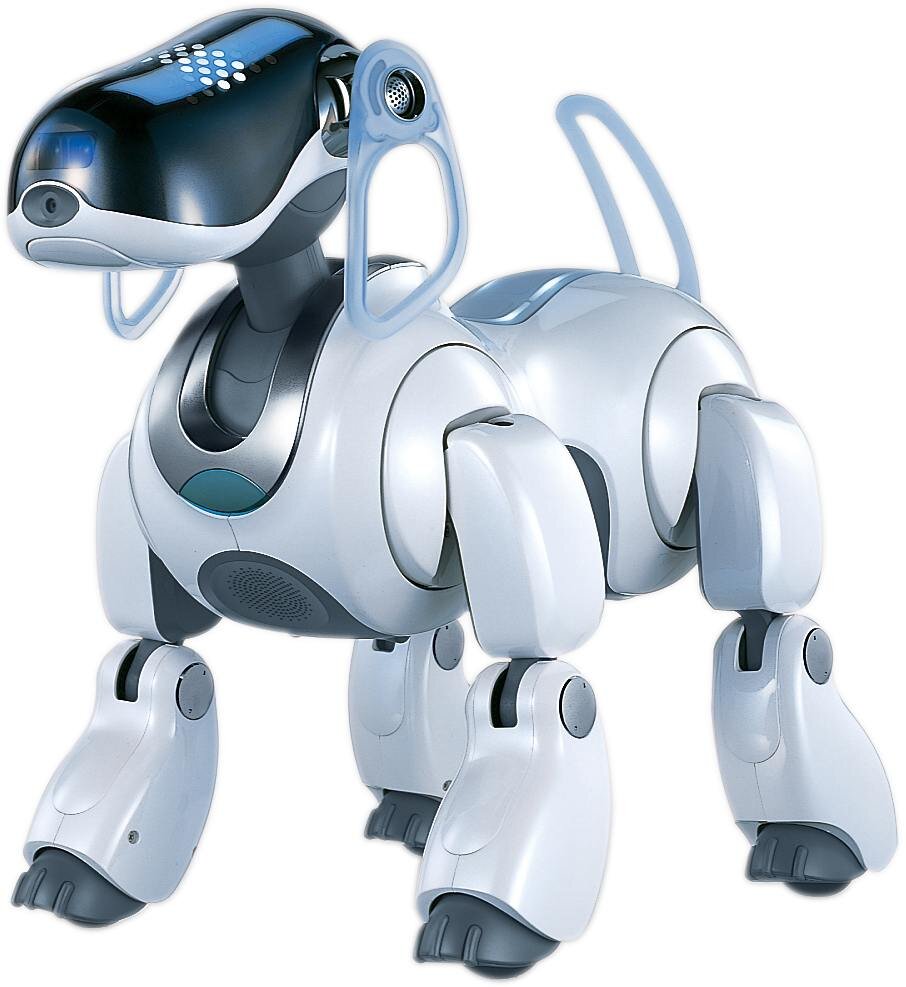 Entertainment Robot
