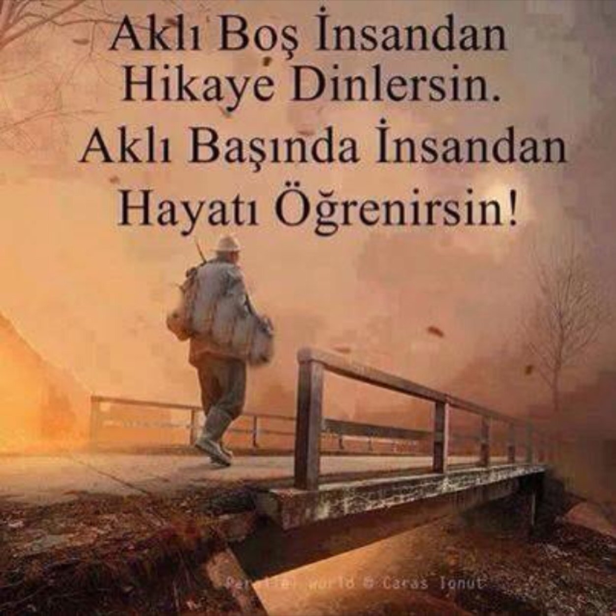 CETNGOKAY's profile picture. 