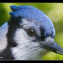 james stenhouse - @JsStenhouse - Twitter