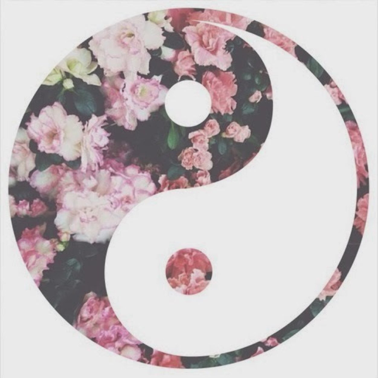 •follow @applepieswifts, this account is being kept as a saved•