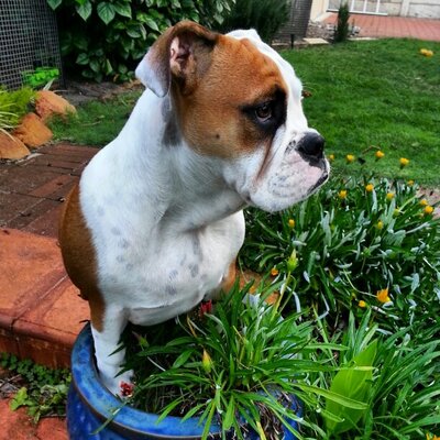 Profile Picture of Tim Renshaw (@renshaw_tim) on Twitter